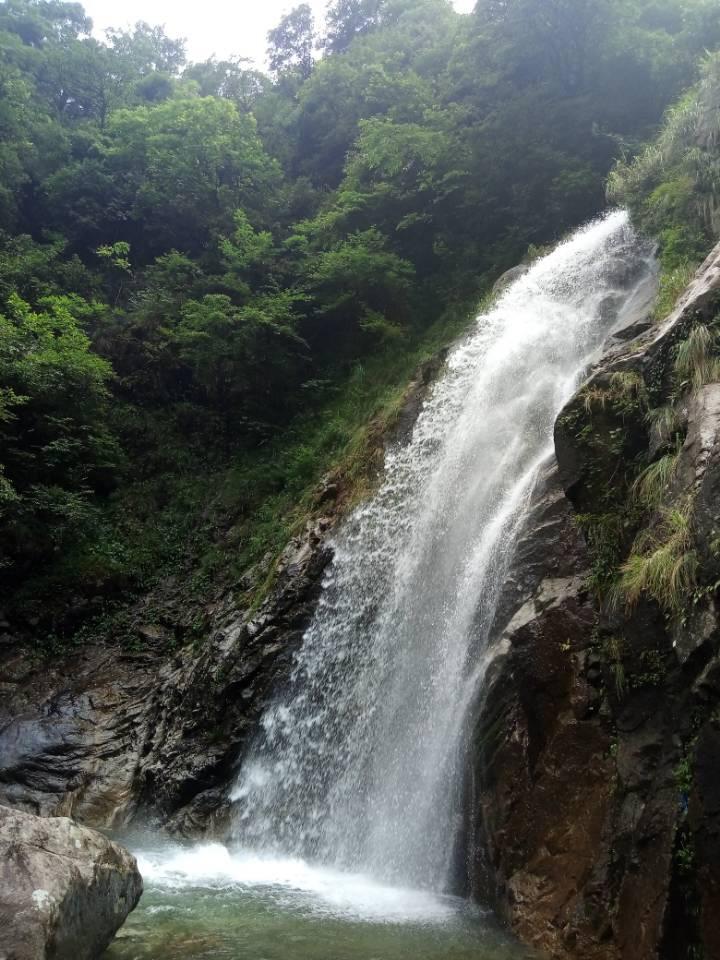 春雨直播app